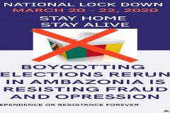 Southern Cameroonians to boycott Cameroon gov’t elections re-run