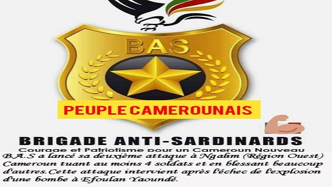 French Cameroun Crisis: 4 soldiers killed by Brigade Anti Sardinards in Galim