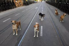 Covid-19 cost tourism sector $320 billion in first five months of 2020