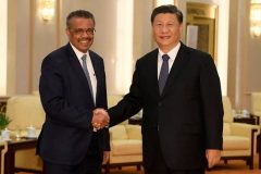 Who hijacked the World Health Organisation and can it impact the Covid-19 whodunnit?