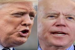 US Democrats could allow remote voting in Biden nomination