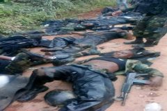 Bui amba killings Southern Cameroons Crisis: The Atrocities Continue!