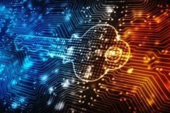 Biya regime implements new e-customs system