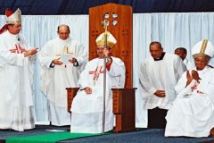 South African Archbishop Stephen Brislin calls on conflicting parties in Cameroon to adhere to UNSC Resolution 2532