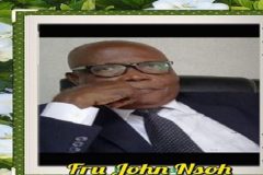 Southern Cameroons Crisis: Fru John Nsoh Must Go Home