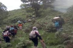 Southern Cameroons Crisis: At least six killed in Pinyin village