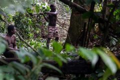 Biya Regime Says No COVID-19 in Indigenous People Yet