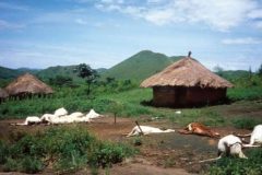 Remembering the Lake Nyos Disaster of 21 August 1986: Ambazonia Interim Gov’t Statement