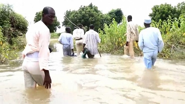 Northern Cameroun Northern French Cameroon Under Water