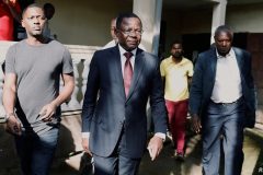 French Cameroun: Police Chase, Beat Kamto Supporters