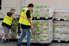 Nearly 4 million Americans have already voted, suggesting record election turnout