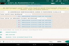 Exiled Southern Cameroons Vice President faces death threat