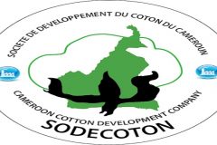 CPDM Crime Syndicate merges Sodecoton & Cicam to boost textiles