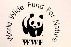 WWF Admits “Sorrow” Over Human Rights Abuses in Southern Cameroons