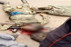 Southern Cameroons Crisis: Suicide killing more French Cameroun troops than Amba Fighters