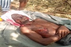 Southern Cameroons Crisis: The military is carrying out summary executions