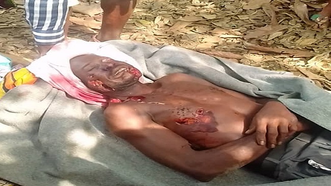 Southern Cameroons Crisis: The military is carrying out summary executions