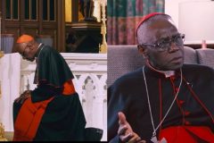Cardinal Robert Sarah: “I have never opposed the pope.”