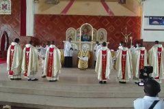 Seven priests ordained for Mamfe’s Catholic Diocese