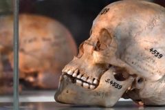 Moshood Abiola Legacy: Germany recognises colonial ‘genocide’ in Namibia, commits €1bn in reparations