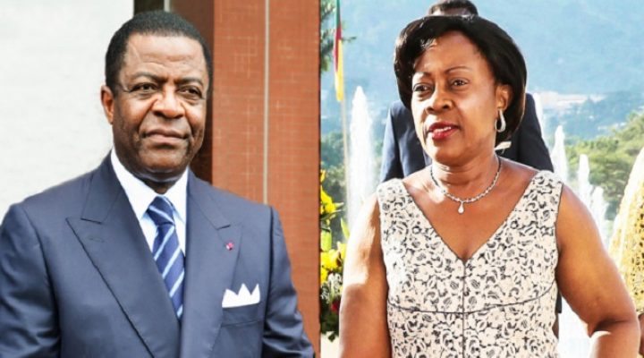 Edgar Alain Mebe Ngo’o: ex- defense minister blessed with a sudden procedural adjournment