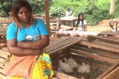 Yaoundé: Poultry Farmers Urge Europe to Ease Trade Restrictions