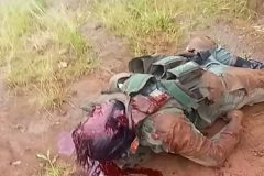 Southern Cameroons Crisis: If only they had listened!