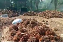 Biya Regime Ekondo Titi Attacks: Southern Cameroons socioeconomic crisis now at breaking point