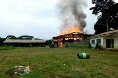 Ossing Timber Centre Ambazonia Restoration Forces raid Ossing timber centre