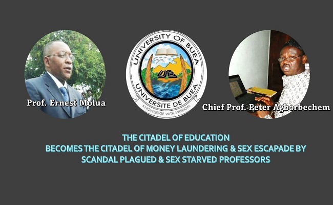 University of Buea marks-for-sex scandal: Prof. Peter Agborbechem and Dr. Ernest Molua demoted 