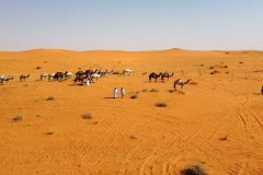 World faces growing threat of ‘unbearable’ heatwaves