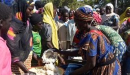 Far North Region: Hundreds flee homes after armed group raid kills 15