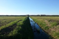 French Cameroun: Five killed in hippo attack on Logone river