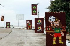 Africa Cup of Nations: Senegal, Guinea advance, Ghana going, going, gone