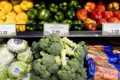 World food prices hit record high over Ukraine war