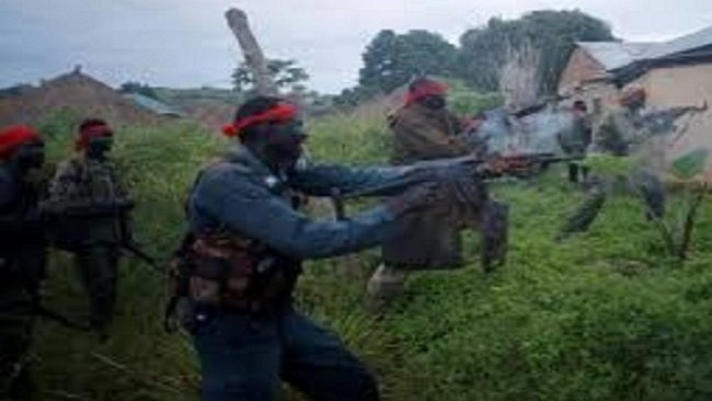 Biya regime says Amba fighters attack Mbororo ethnic community