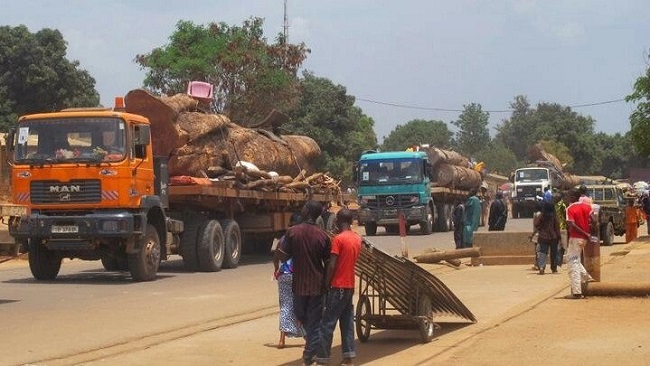 Biya regime reopens border with Central African Republic