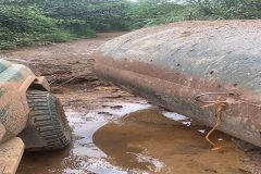 Amba war Southern Cameroons Crisis: The IEDs are still killing