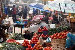 CPDM Crime Syndicate: Yaoundé blames war in Ukraine for food price spikes