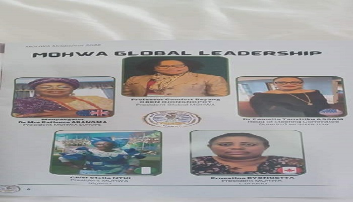 MOHWA Worldwide: Leading Manyu’s development efforts