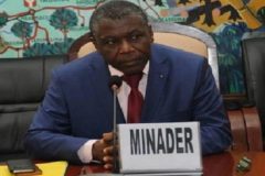 MINADER CPDM Crime Syndicate: Yaoundé seeks to bring local rice production to 750,000 tons by 2030