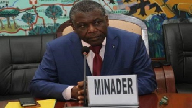 MINADER CPDM Crime Syndicate: Yaoundé seeks to bring local rice production to 750,000 tons by 2030