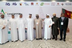 Biya regime explores new avenues of cooperation with UAE investors