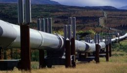 Cameroon-Chad Pipeline: Biya regime generated CFAF12.2 bln in royalties in Jan-Apr 2023