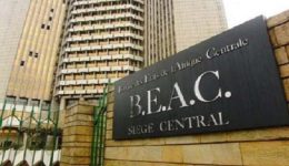 France-Afrique: CEMAC faces financial crisis as unpaid bank credits surge