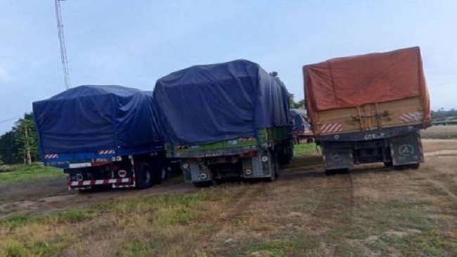 Yaoundé authorities seize eight trucks amid Cocoa smuggling crackdown