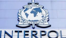 Murder of a Burmese businessman: two Cameroonians arrested in INTERPOL operation