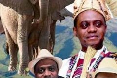 Dr. Robert Esuka Mbella Endeley Paramount ruler of Buea greeted by lively groups during visit to Britain