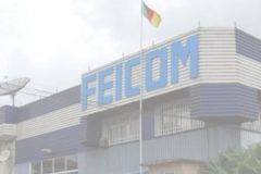 FEICOM Biya regime transferred CFA195.3bn to councils between 2018 and 2024