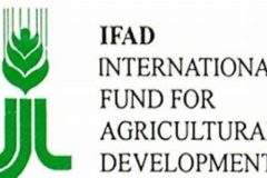IFAD IFAD: Supporting Agriculture in Central and West Africa